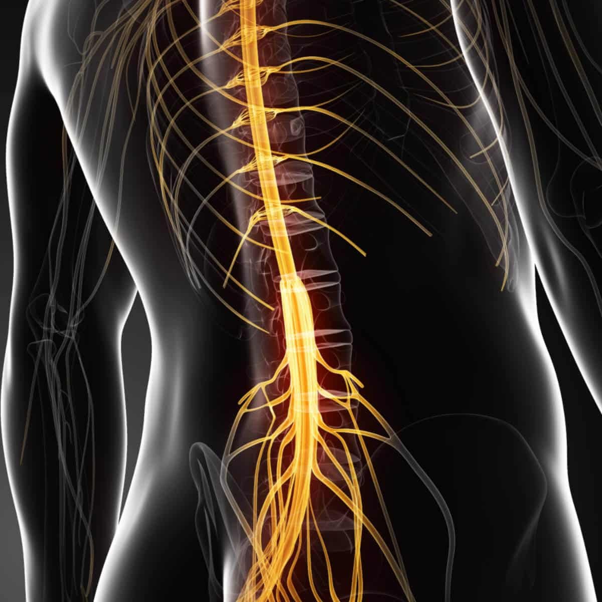 pinched nerve pain lower back treatment causes symptoms pinched nerve googfi